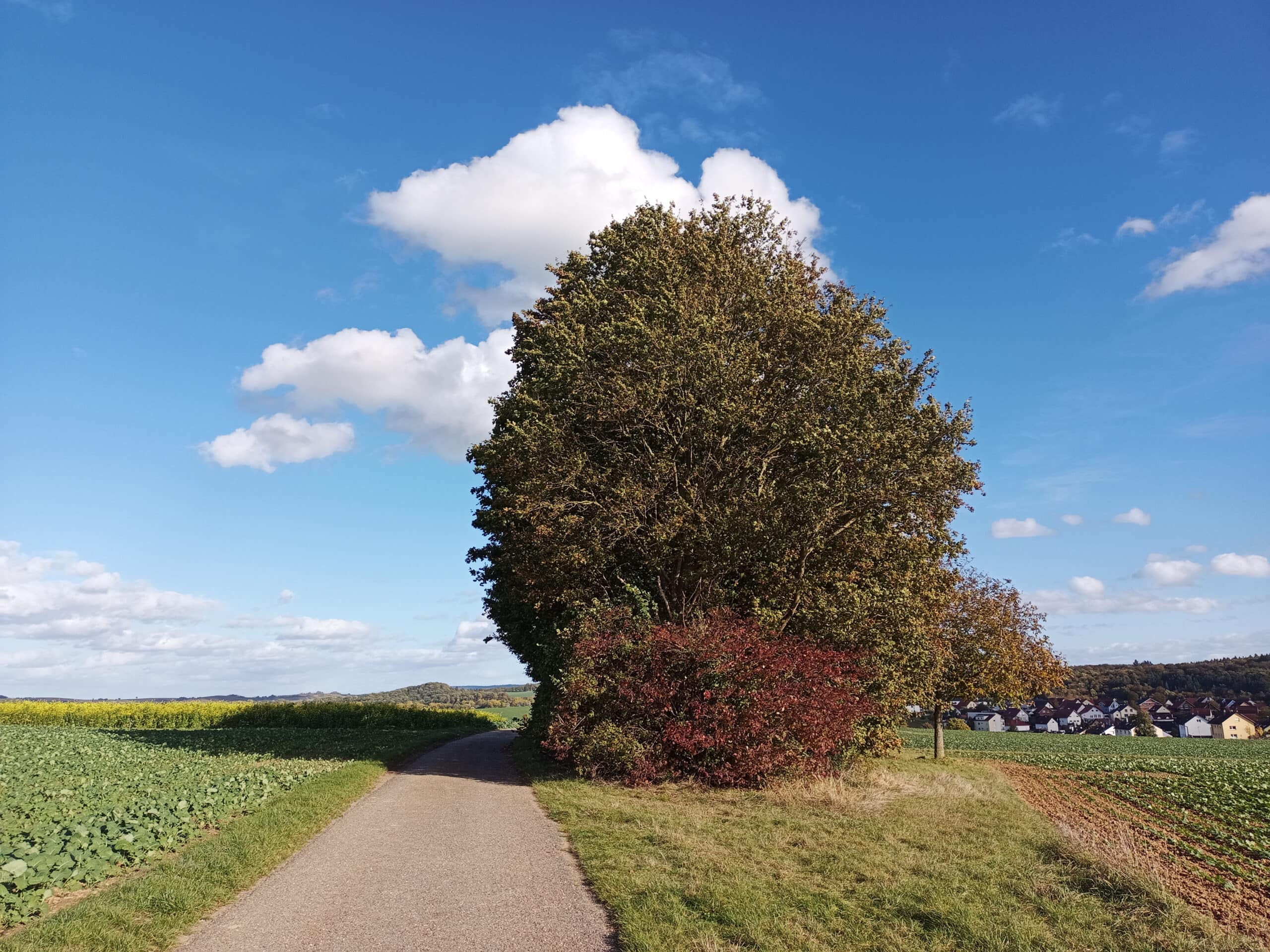 Hauptkamera